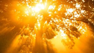 What Did the Apostles Believe About God?
