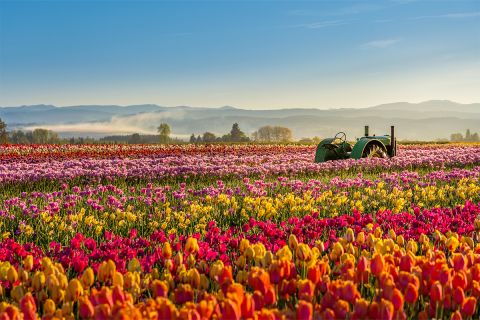 Colorful scenic photo to illustrate the article Caring for God’s Creation