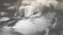 Conversion: Closing the Deal