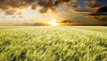 Lord of the Sabbath: Did Jesus Christ Break the Sabbath?