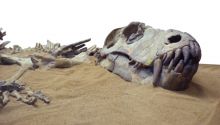 Geologic Dating Methods