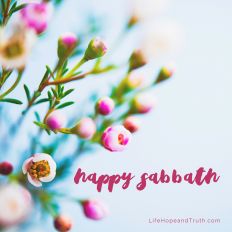 Happy Sabbath