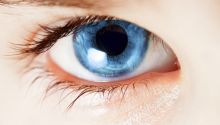 The biochemistry of vision is irreducibly complex