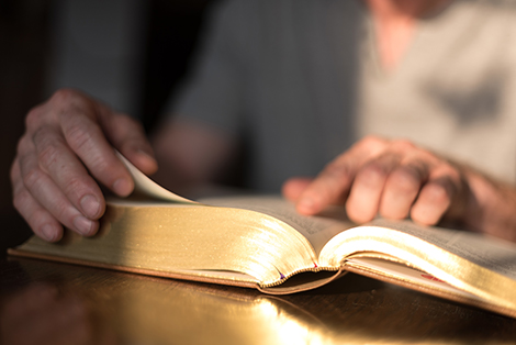 Is the Bible True?