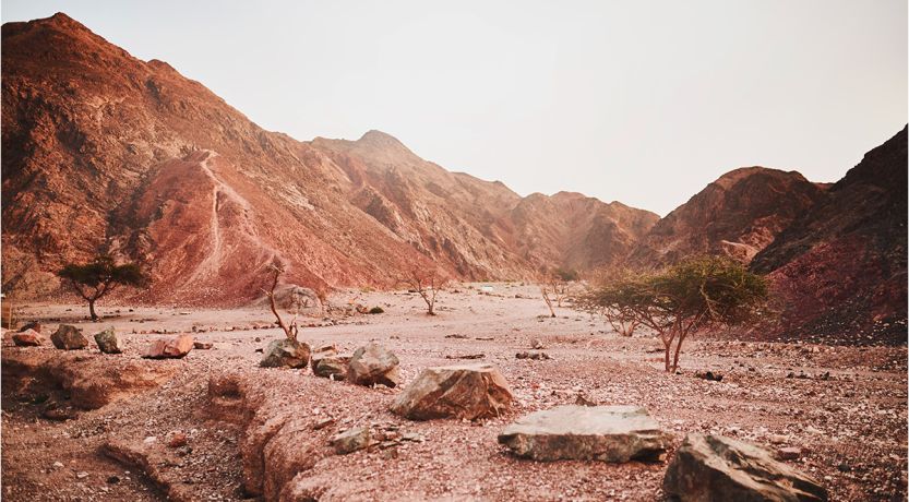 Jesus’ Temptation in the Wilderness: What Can It Teach Us?