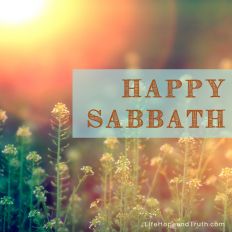 Happy Sabbath! The Sabbath, the day God rested, is both the forerunner and the weekly reminder of the wonderful future rest, free from the bondage of sin.