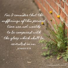For I consider that the sufferings of this present time are not worthy to be compared with the glory which shall be revealed in us.