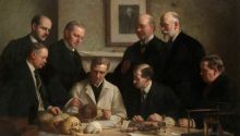 Frauds and Hoaxes in the Evolutionary Tree