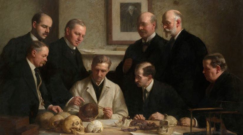 Frauds and Hoaxes in the Evolutionary Tree