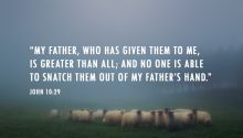 Safe in God’s Hands