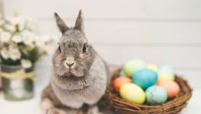 The Surprising History of Easter