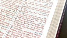 “Not Everyone Who Says to Me ‘Lord, Lord’ …”